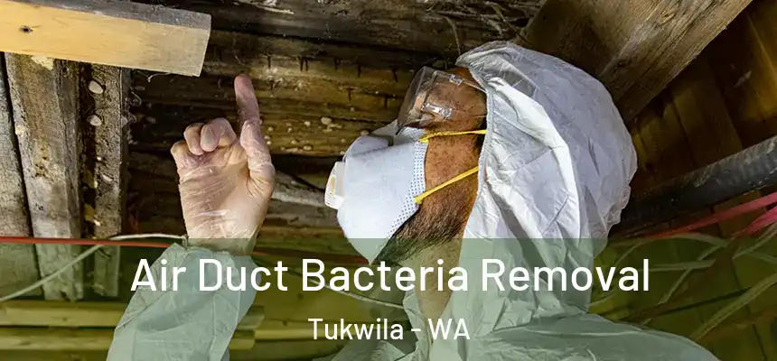  Air Duct Bacteria Removal Tukwila - WA