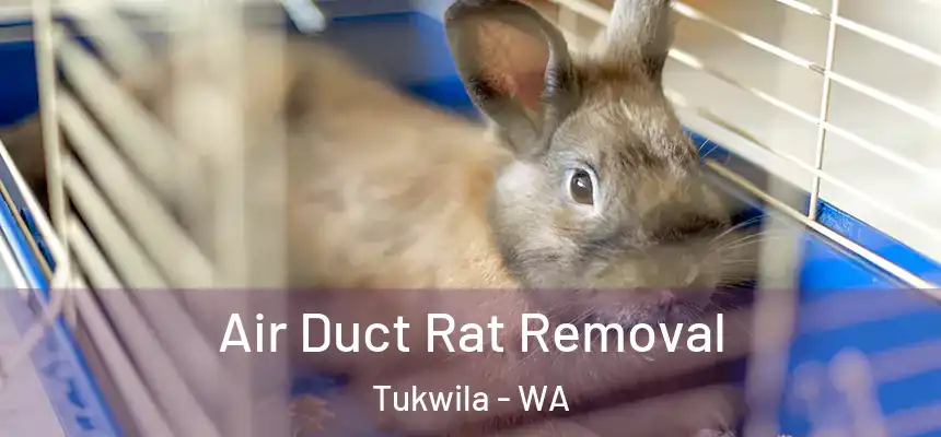  Air Duct Rat Removal Tukwila - WA