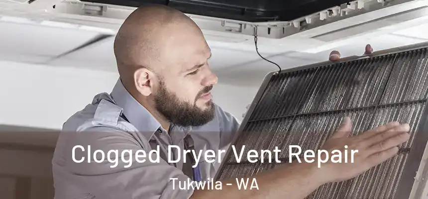  Clogged Dryer Vent Repair Tukwila - WA