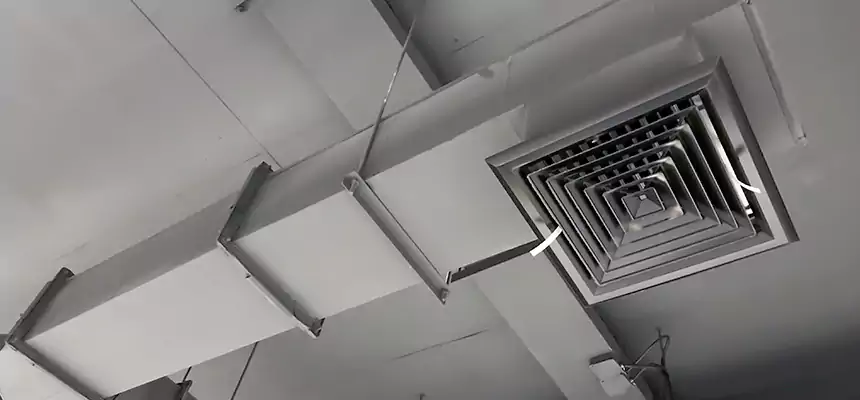 Our Rodent Droppings In Vents Services in Tukwila, WA