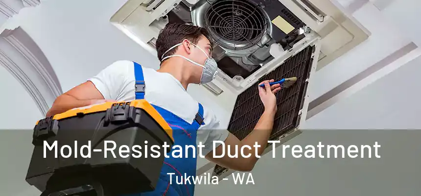 Mold-Resistant Duct Treatment Tukwila - WA