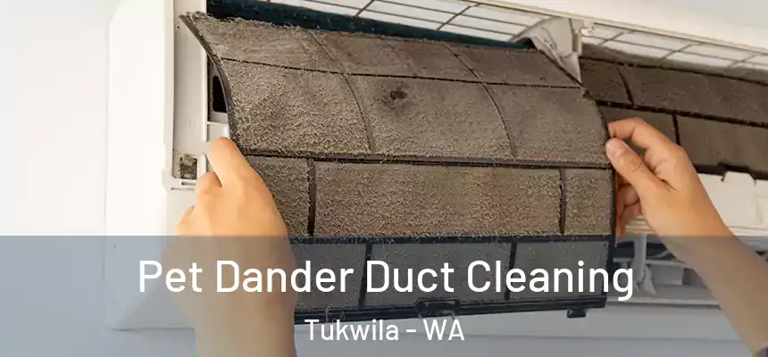 Pet Dander Duct Cleaning Tukwila - WA