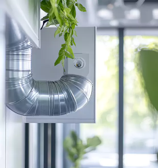 Professional Eco-Friendly Duct Cleaning Services in Tukwila, WA