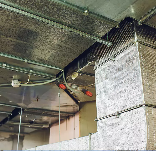 Why Homeowners & Businesses Trust Us in Tukwila, WA?