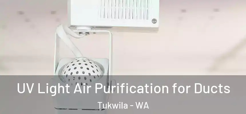  UV Light Air Purification for Ducts Tukwila - WA
